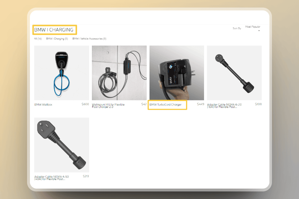 BMW portable level 2 ev charging solution called TurboCord