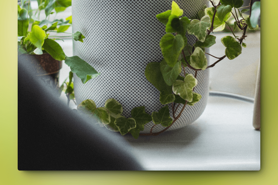 voice controlled smart tech next to a plant in a luxury home.